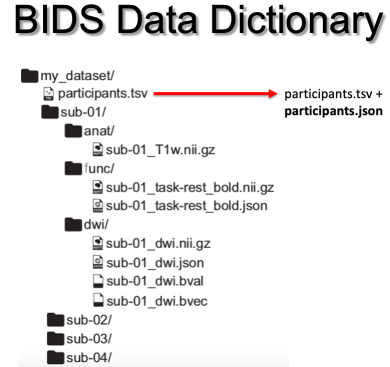 Diagram illustrating the structure of a BIDS dataset.