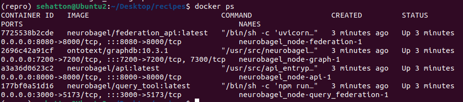 A screenshot of the output of docker ps.